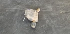 21 Dodge Durango Srt 392 Exhaust Muffler Left Driver Used. Price: $267.75.