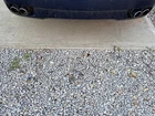 M139 Maserati 03-12 Quattroporte Exhaust Rear Muffler Tips Set Used. Price: $399.00.