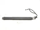 15-19 Land Rover Discovery Sport L550 Trunk Tailgate Liftgate Strut Oem Set 2 Used. Price: $57.84.