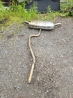 Volkswagen Tiguan Awd Exhaust System Rear Muffler Oem 2018 - 2022 Used. Price: $350.00.