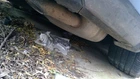Insight 2019 Muffler 345956 Used. Price: $175.00.