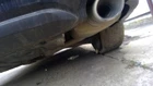 Maxima 2018 Passenger Side Muffler 364335 Used. Price: $200.00.