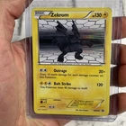 Pokemon Zekrom - Black And White Promos BW005 Lp Lightly Played Ungraded. Price: $5.59.