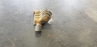 21 Dodge Durango Srt 392 Exhaust Muffler Right Passenger Used. Price: $267.75.