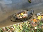 2010 2013 Suzuki Kizashi Rear Bumper Chrome Exhaust Cover Muffler Right Side Used. Price: $50.00.