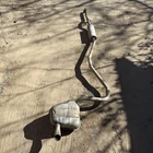 2022 - 2025 Honda Civic 2.0L Exhaust System Oem Cat Back Used. Price: $499.99.
